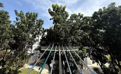 Blk 178 KEBUN BARU LINK 2 (Ang Mo Kio), HDB 4 Rooms #566244301